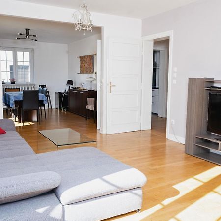 Charmant Appartement Avec Terrasse Dans Villa Strasbourg Kültér fotó