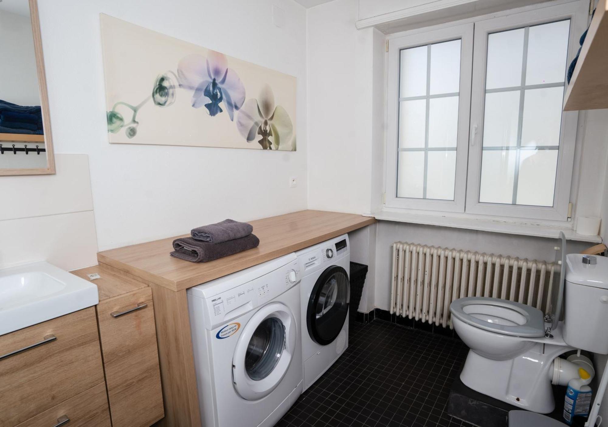 Charmant Appartement Avec Terrasse Dans Villa Strasbourg Kültér fotó
